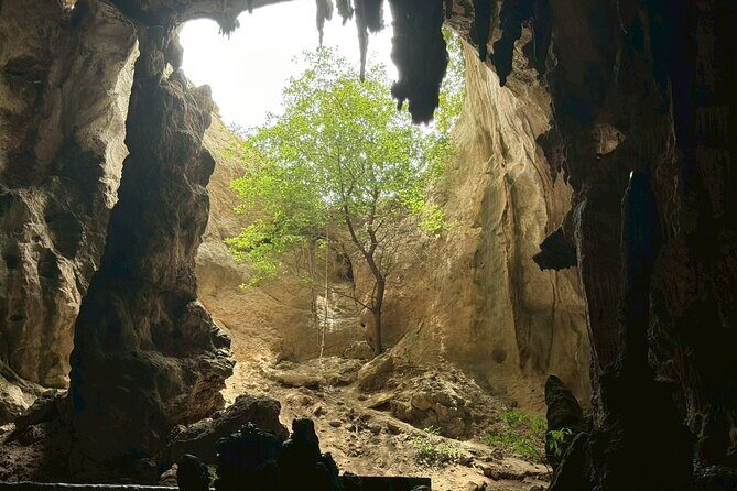 Krabi Khao Khanab Nam Jurassic World Tour with Mangroves - FAQ: Your Practical Questions Answered