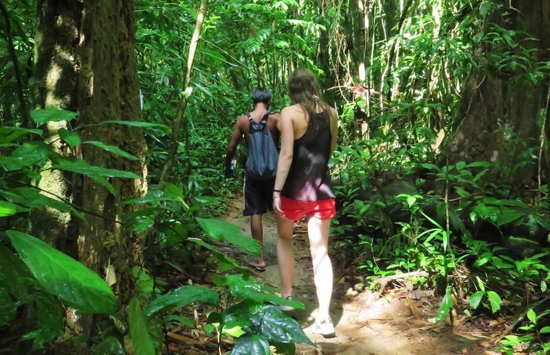 Krabi Khao Sok National Park 2-Day Guided Safari - The road from Krabi to Khao Sok