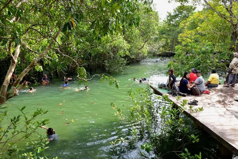 Krabi Khao Sok National Park 2-Day Guided Safari - A jungle walk with eyes open