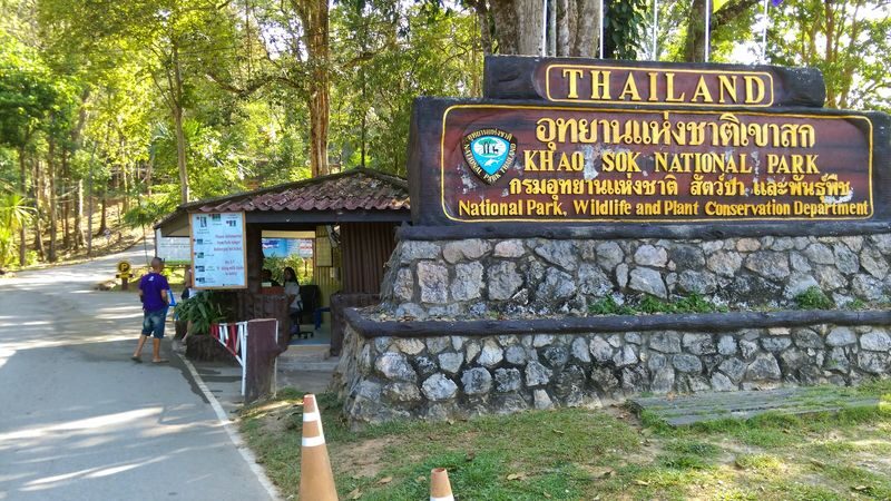 Krabi Khao Sok National Park 2-Day Guided Safari - A night in a small tree-level resort