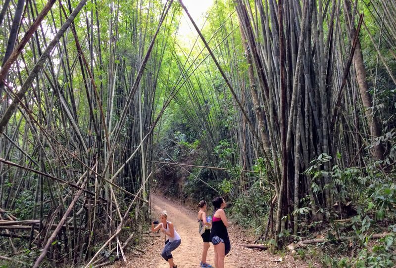 Krabi Khao Sok National Park 2-Day Guided Safari - Who will get the most from this safari