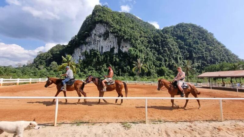 Krabi: Khao Thong Trail Horseback Riding Adventure - Who Will Love This Experience?