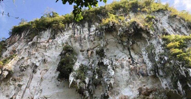 Krabi: Khaosok Jungle Walk, Bamboo Rafting, or Canoeing Tour - Activity Details
