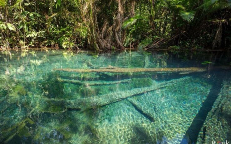 Krabi: Khlong Nam Sai Lagoon With Kayaking & Optional ATV - Activity Details