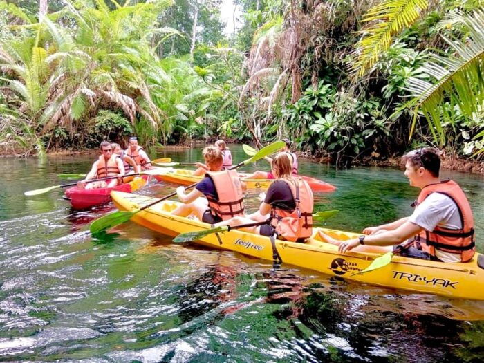 Krabi: Klong Root (Crystal Lake) Kayaking Tour - Traveler Types