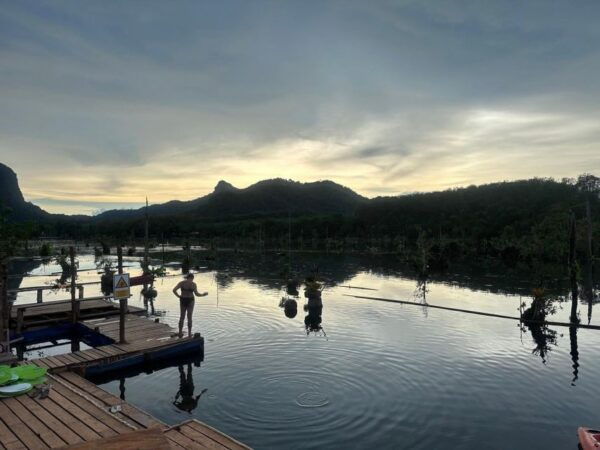 Krabi: Klong Root Kayaking Viewpoint,Fish Feeding and More - Common Questions