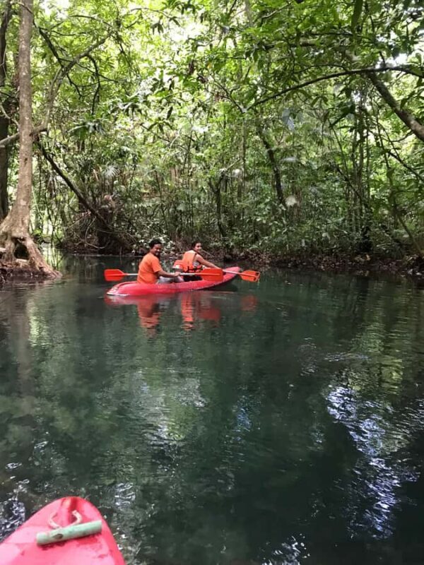 Krabi: Klong Sa Kaew (Hidden gem) Kayaking and Swimming Tour - The Sum Up