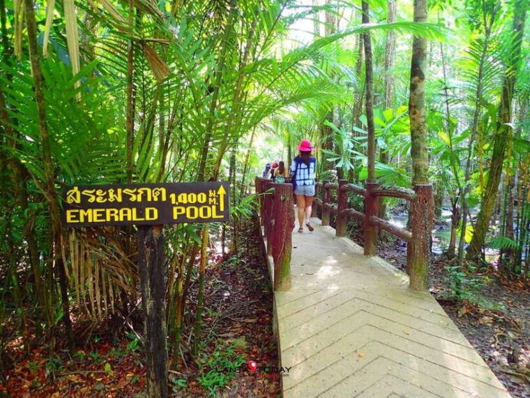 Krabi: Klongtom Hot Spring, Emerald Pool and Tiger Cave Tour - Transportation and Meeting Points