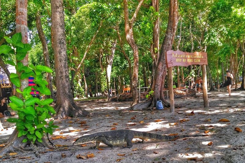 Krabi Koh Rok & Koh Haa Full-Day Snorkeling Tour - A final swim, then a pass by the waterfall