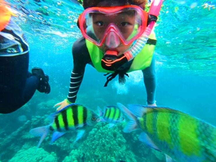 Krabi: Koh Rok & Koh Haa Hidden Snorkeling Tour by Speedboat - Tour Details