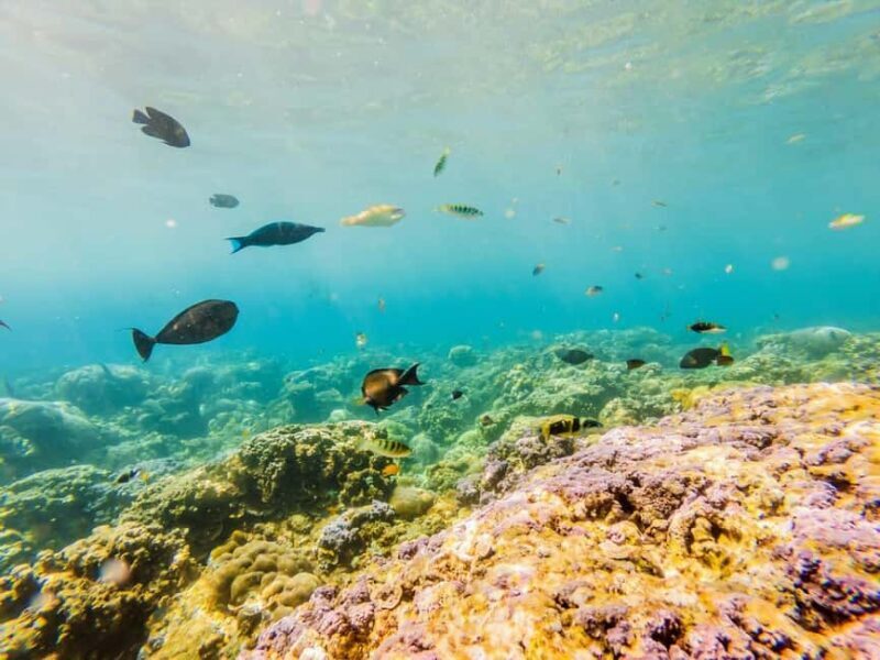 Krabi: Luminous Lagoon, Sunset Islands & Speedboat Adventure - Who Is This Tour Best For?