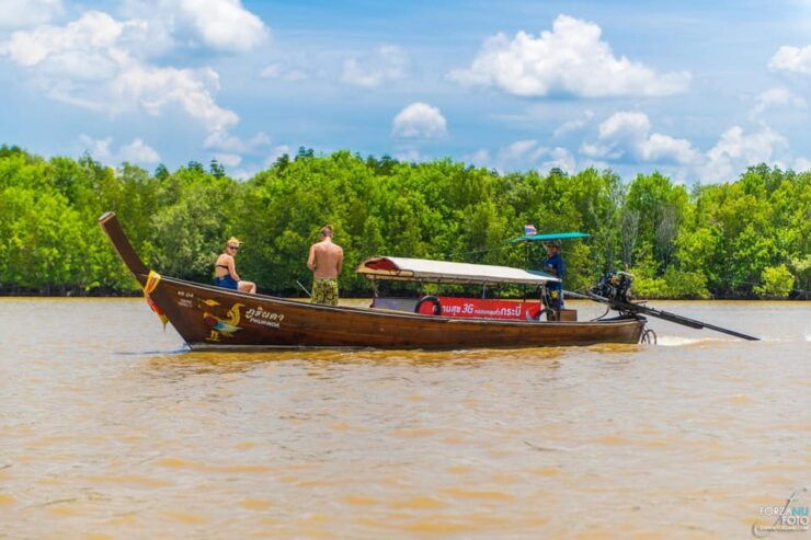 Krabi Mangrove and Khao Khanap Nam Cave Half Day Tour - Itinerary Details