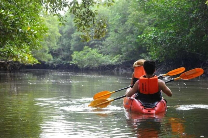 Krabi: Mangrove Kayak Adventure in Boh Tor, Ao Luek - Why Choose This Tour?