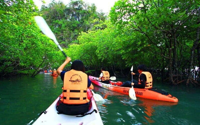 Krabi: Mangrove Kayak Adventure in Boh Tor, Ao Luek - A Closer Look at the Experience