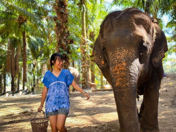Krabi Mangrove Kayak &Elephant Shelter With Private Transfer - Important Notes