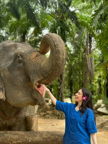 Krabi Mangrove Kayak &Elephant Shelter With Private Transfer - Tips for a Great Experience