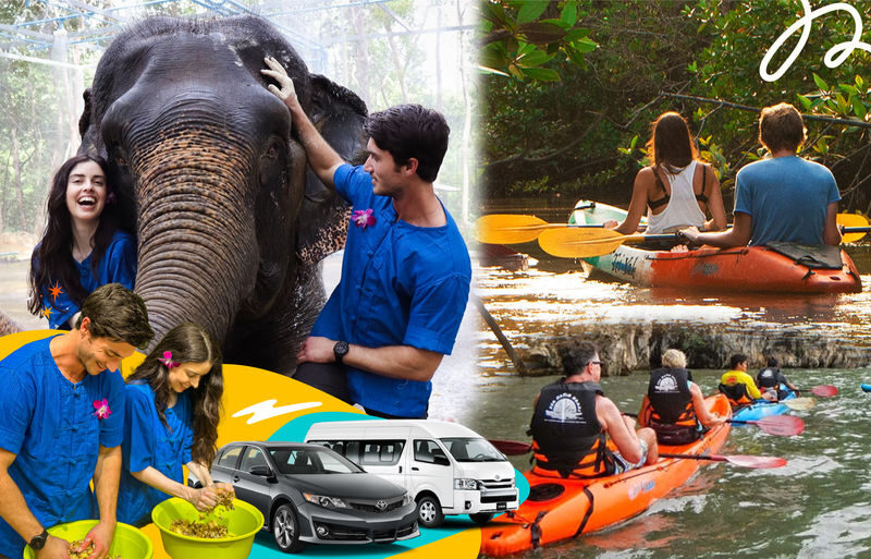 Krabi: Mangrove Kayak x Elephant Shelter Tour with Private Transfer - Two sides of Krabi in one day