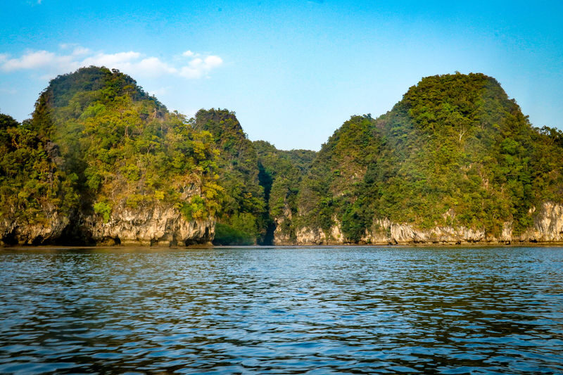 Krabi: Mangrove Kayak x Elephant Shelter Tour with Private Transfer - A Thai-style lunch before the paddle