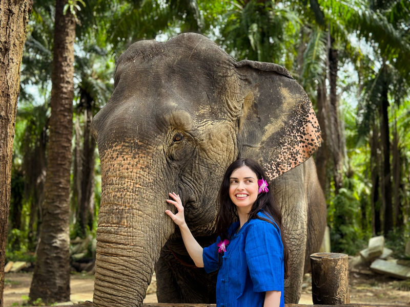 Krabi: Mangrove Kayak x Elephant Shelter Tour with Private Transfer - How the price adds up