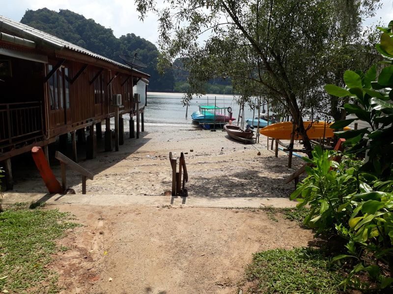 Krabi: Mangrove Kayak x Elephant Shelter Tour with Private Transfer - Who will enjoy this day most