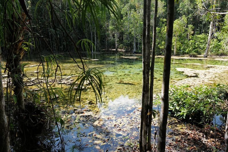 Krabi Outback Explorer: Emerald Pool Wareerak Hotspring (from Krabi) - Thai lunch and the return journey
