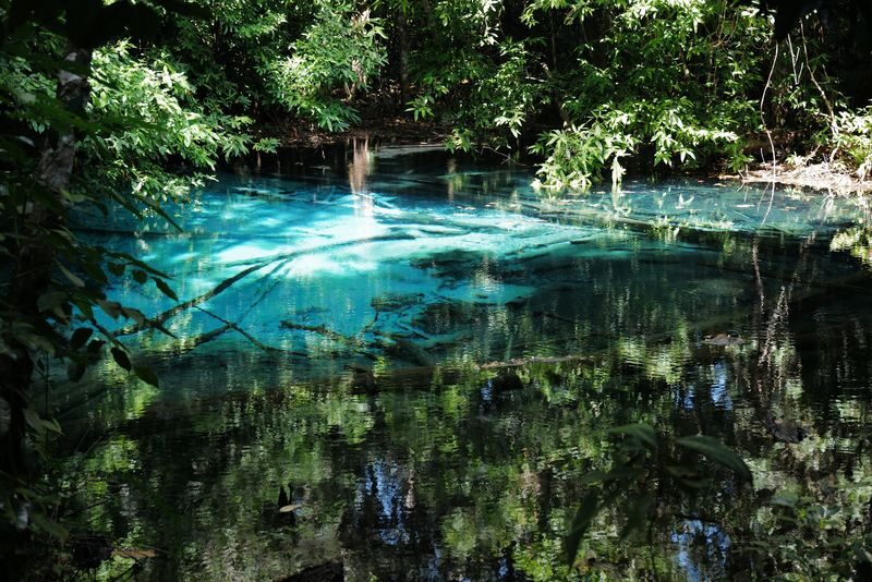 Krabi Outback Explorer: Emerald Pool Wareerak Hotspring (from Krabi) - Is this Krabi day trip worth booking?