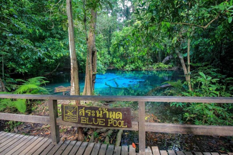 Krabi Outback Explorer to Emerald Pool & Wareerak Hotspring - Good To Know