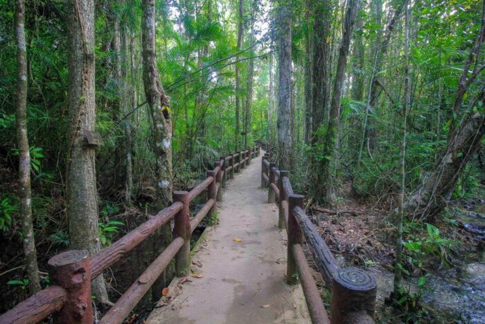 Krabi Outback Explorer to Emerald Pool & Wareerak Hotspring - Exploring the Khao Pra-Bang Khram Wildlife Sanctuary