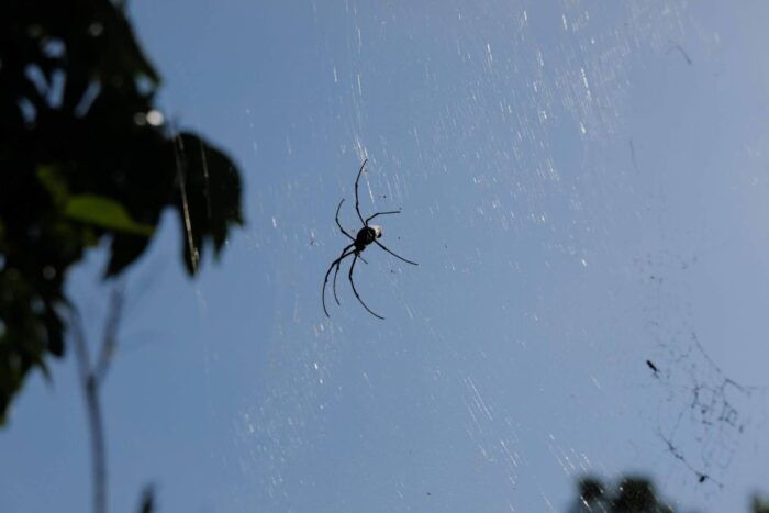 Krabi Outback Explorer to Emerald Pool & Wareerak Hotspring - Taking in the Emerald Pool and Beyond