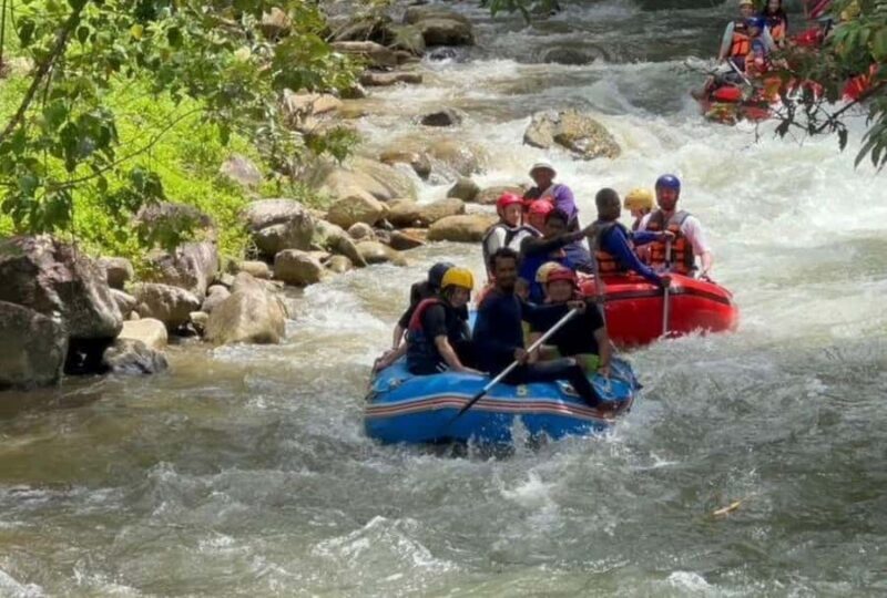 Krabi: Phang Nga White Water Rafting & Jungle Adventure - Who Should Consider This Tour?