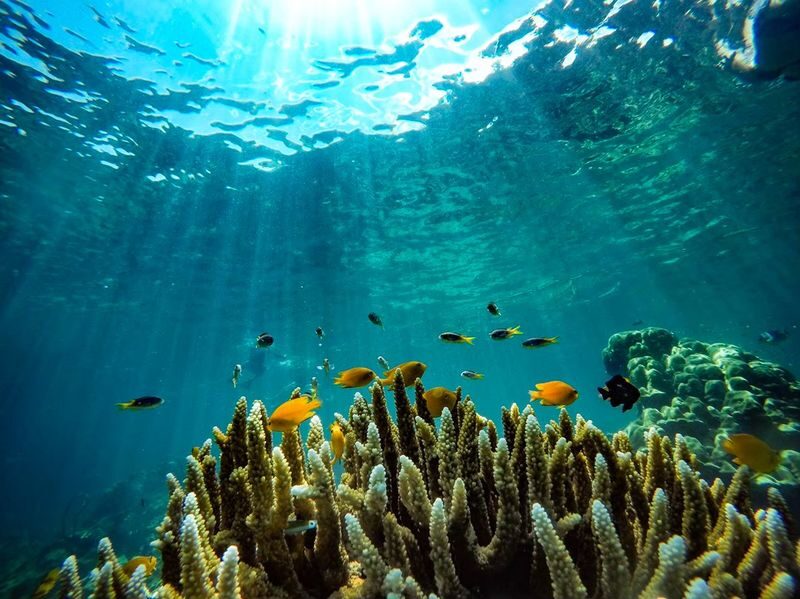 Krabi: Phi Phi and 4 Islands Day Tour by Speedboat - Booking checks that can prevent a muddled morning