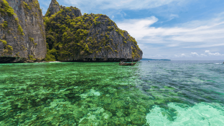 Krabi Phi Phi & Bamboo Island One Day Tour By Speed Boat - Customer Feedback