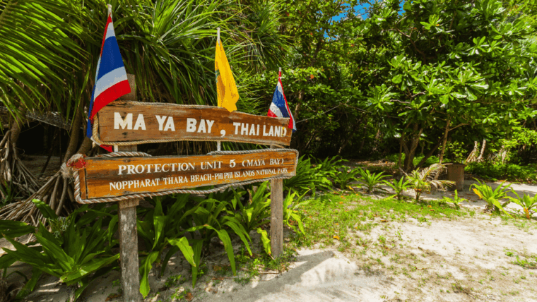 Krabi Phi Phi & Bamboo Island One Day Tour By Speed Boat - Booking and Reservations