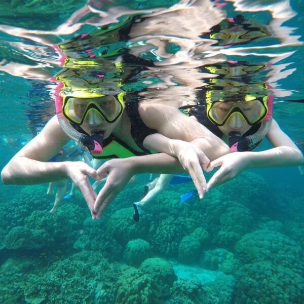Krabi: Phi Phi Islands Speedboat Tour With Buffet Lunch - Common Questions