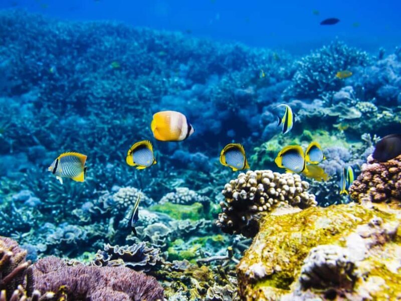 Krabi: Private 4 Islands Snorkeling Tour with Long-Tail Boat - Authentic Experiences & Hidden Gems