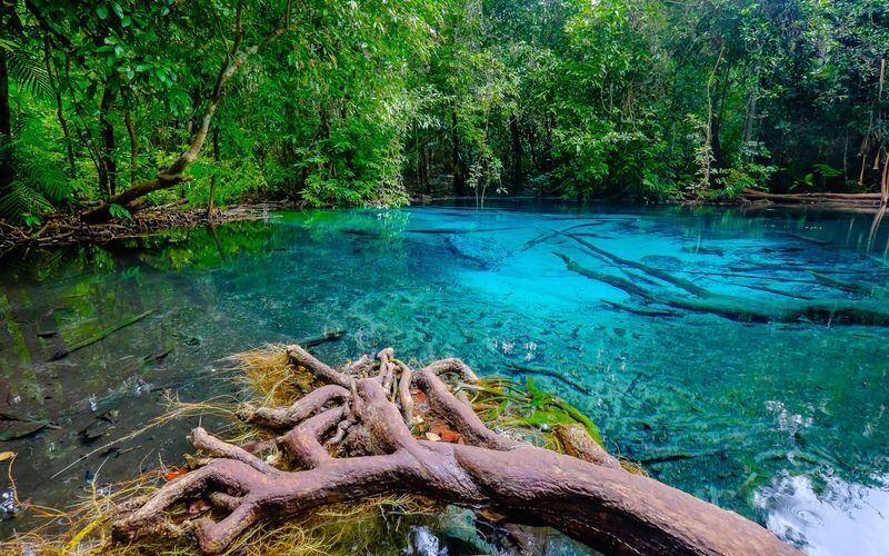 Krabi Private Car Charter Custom Tour - Should you book the Krabi private car charter?