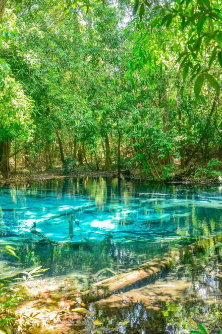 Krabi Private Escape: Emerald Pool, Hot Springs & Tiger Cave - Exploring Tiger Cave Temple