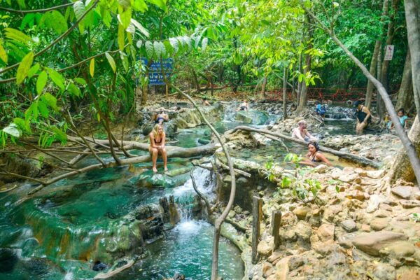 Krabi Private Escape: Emerald Pool, Hot Springs & Tiger Cave - Inclusions of the Package