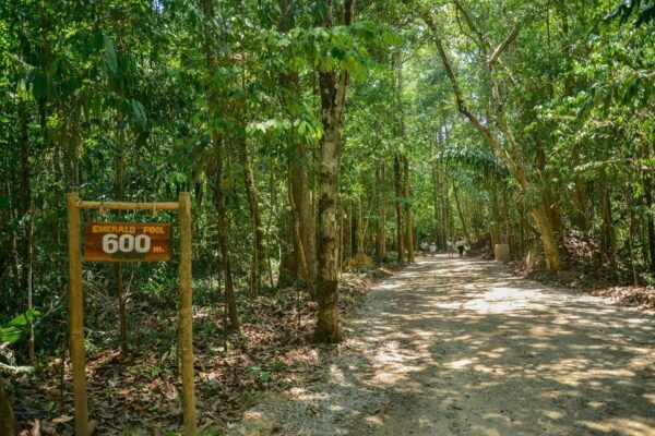 Krabi Private Escape: Emerald Pool, Hot Springs & Tiger Cave - Questions You May Have