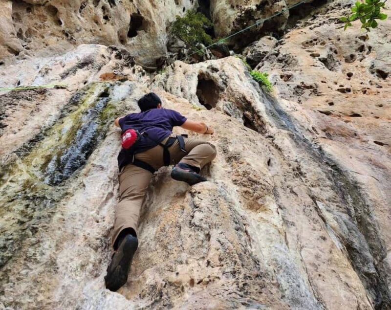 Krabi: Private Half-Day Rock Climbing at Railay Beach - What Makes This Tour Stand Out?