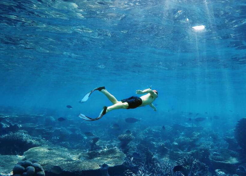 Krabi: Private Hong Island Snorkeling Tour W/ Long-Tail Boat - Itinerary Highlights