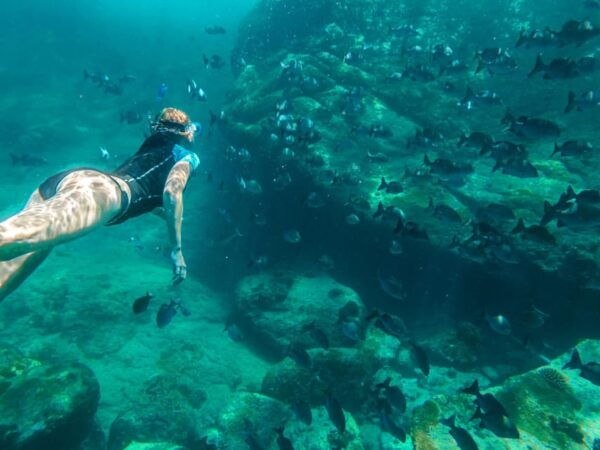 Krabi: Private Phi Phi Islands Snorkeling & Sightseeing Tour - What to Bring