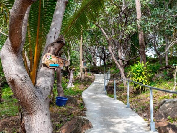 Krabi: Private Phi Phi Islands Snorkeling & Sightseeing Tour - Questions You May Have