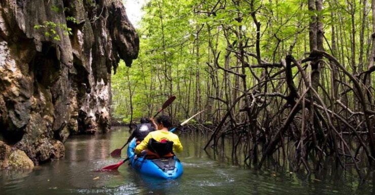 Krabi: Private Sea Kayaking in Ao Thalane and Hong Island - Activity Details
