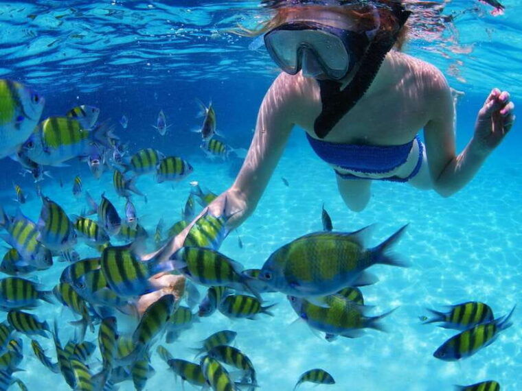 KRABI: Private Sunset Snorkeling Junk Boat Cocktail Cruise - Customization and Special Occasions