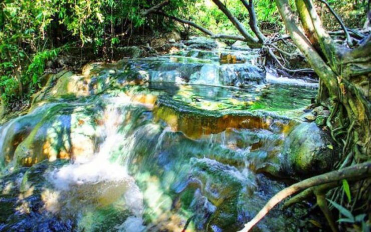 Krabi Private Taxi to Emerald Pool and Hot Spring (2way) - Itinerary Highlights