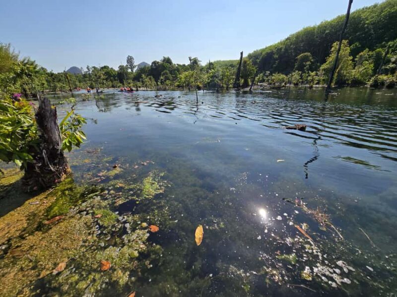 Krabi Quad: Paddle, Batik Print, Rubber Tapping & Pine Farm - Final thoughts