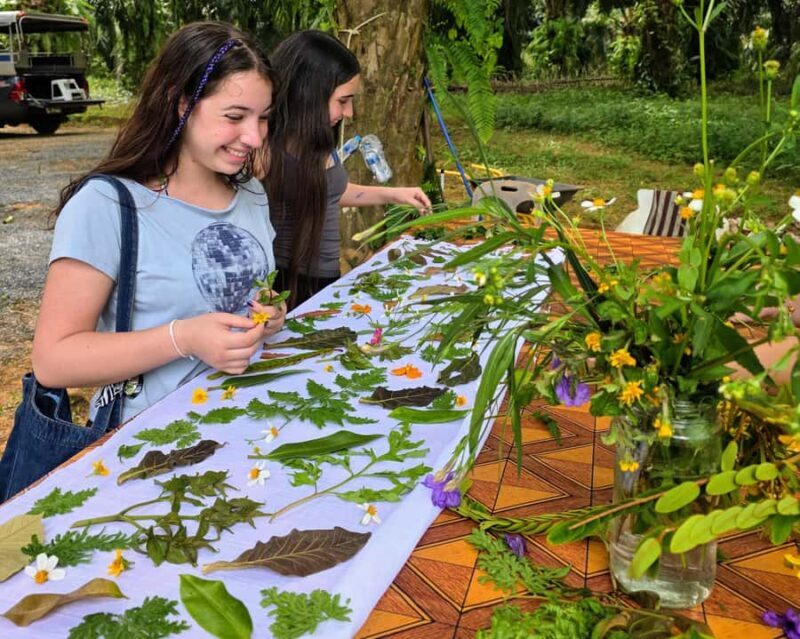 Krabi Quad: Paddle, Eco Printing, Rubber Tapping & Pine Farm - The Practical Side: What to Expect