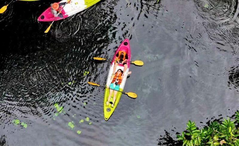 Krabi Quad: Paddle, Eco Printing, Rubber Tapping & Pine Farm - Final Thoughts