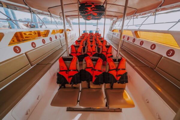 Krabi: Railay To/From Phi Phi By Fast Speed Boat Transfer - Additional Activities in Krabi and Phi Phi
